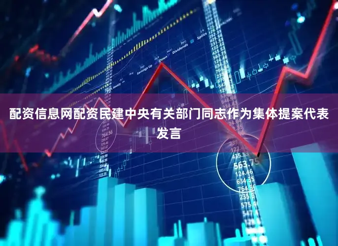 配资信息网配资民建中央有关部门同志作为集体提案代表发言