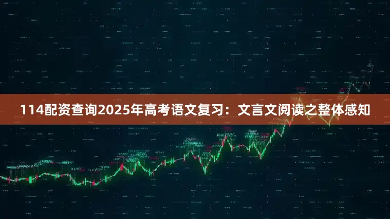 114配资查询2025年高考语文复习：文言文阅读之整体感知