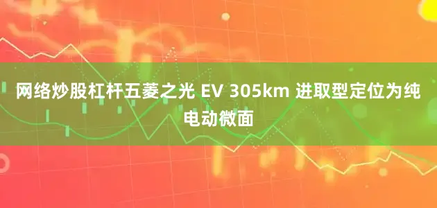 网络炒股杠杆五菱之光 EV 305km 进取型定位为纯电动微面