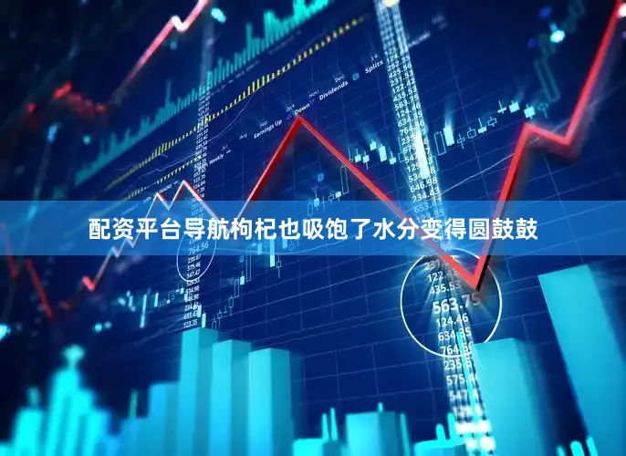 配资平台导航枸杞也吸饱了水分变得圆鼓鼓